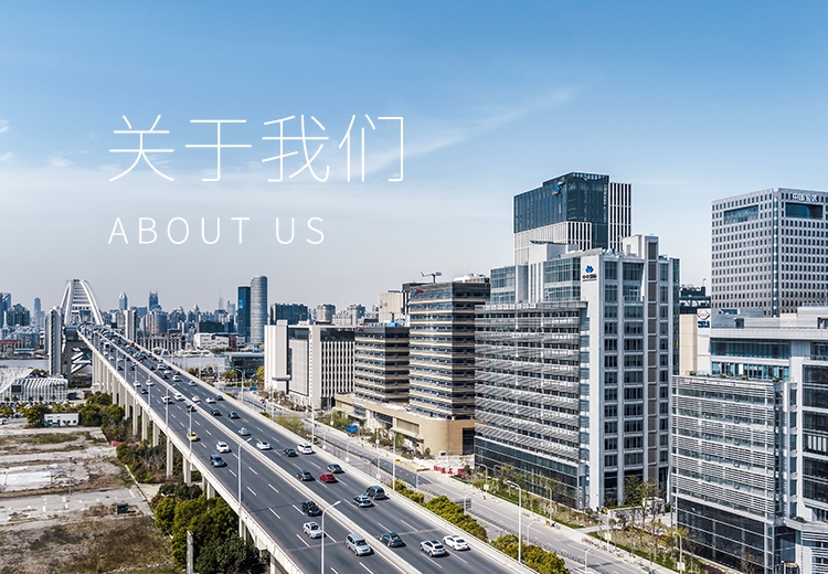 开云体育-开云（中国）一站式服务官方网站 